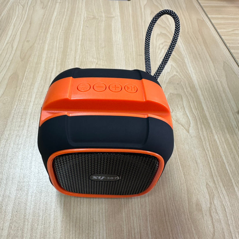 Portable Outdoor Wireless Bluetooth Audio - My Store