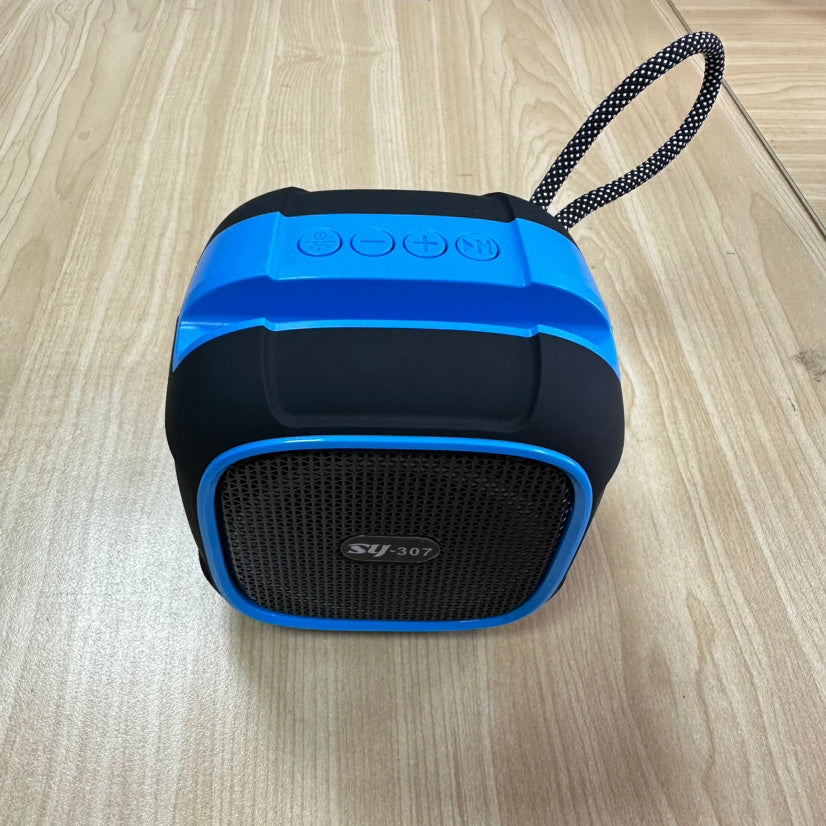 Portable Outdoor Wireless Bluetooth Audio - My Store